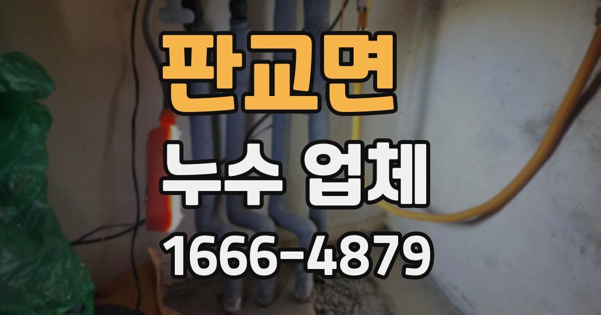판교면 누수 업체