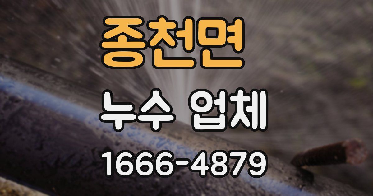 종천면 누수 업체