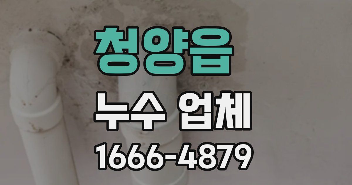청양읍 누수 업체
