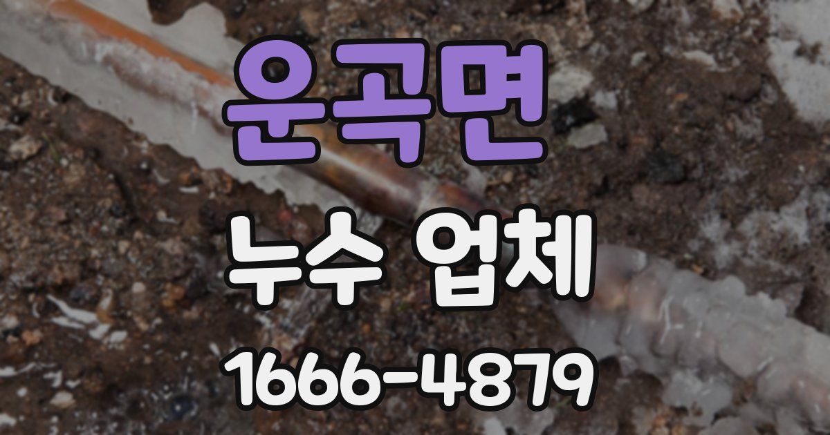 운곡면 누수 업체