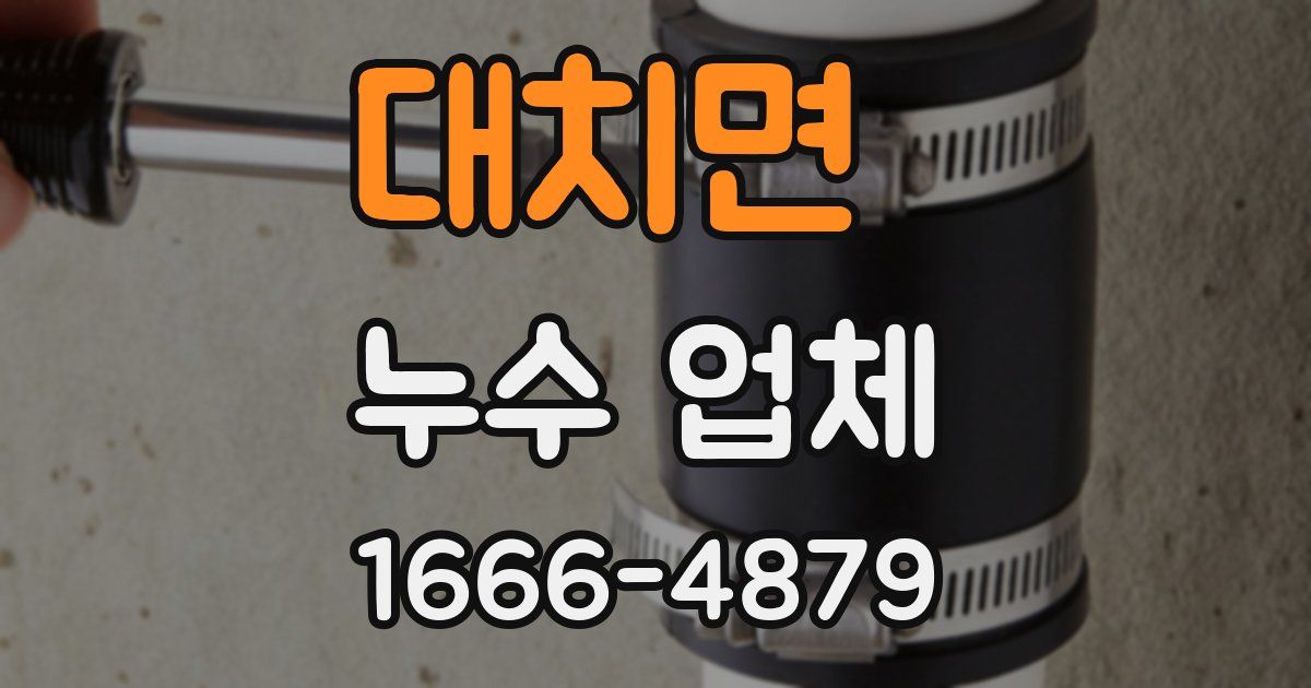 대치면 누수 업체