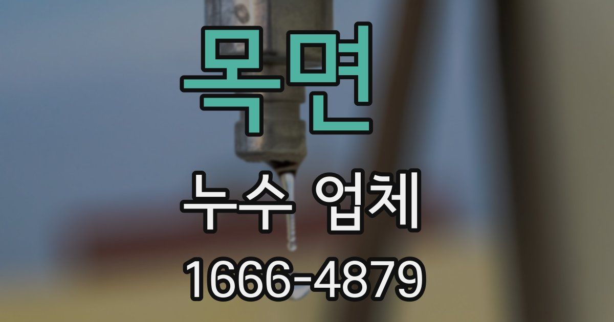 목면 누수 업체