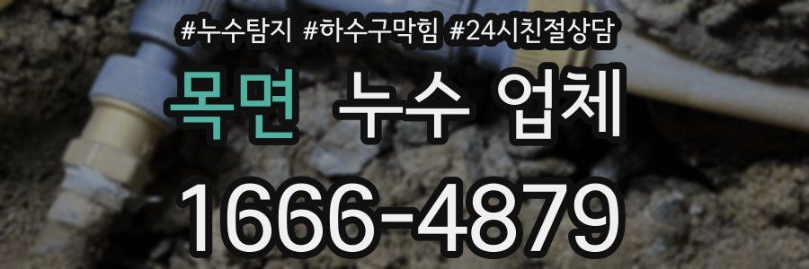 목면 누수 업체