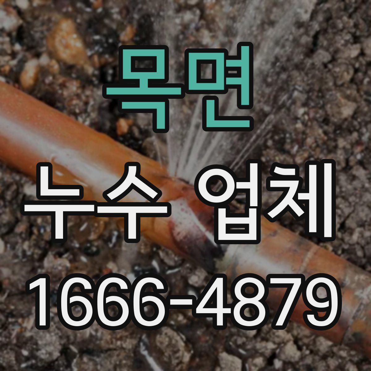 목면 누수 업체