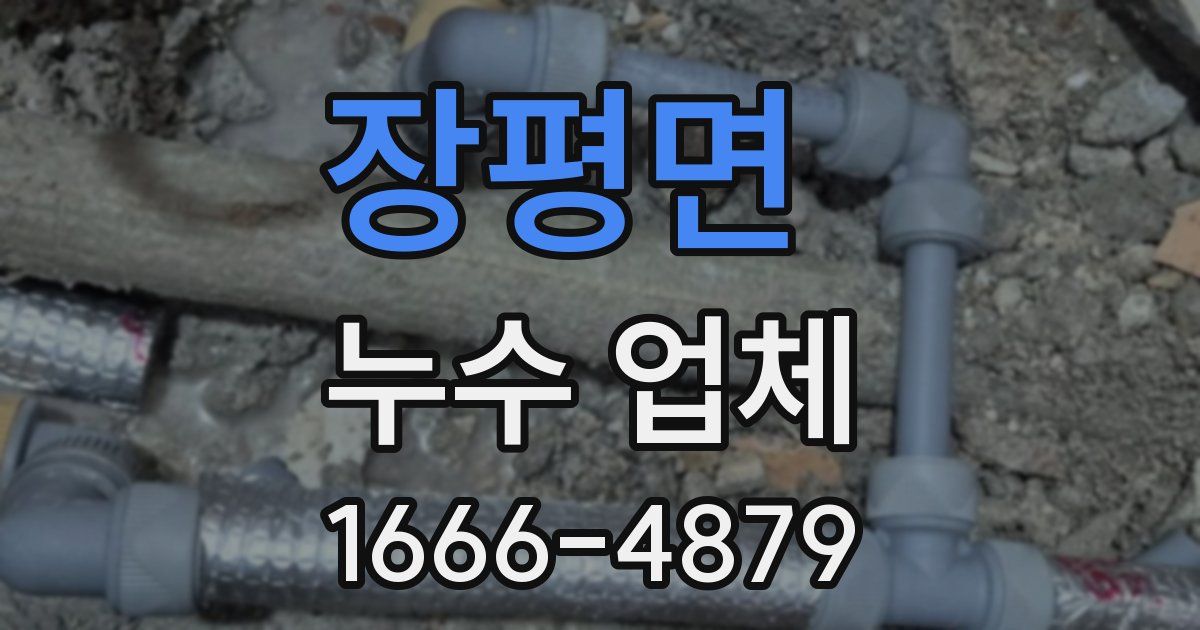 장평면 누수 업체