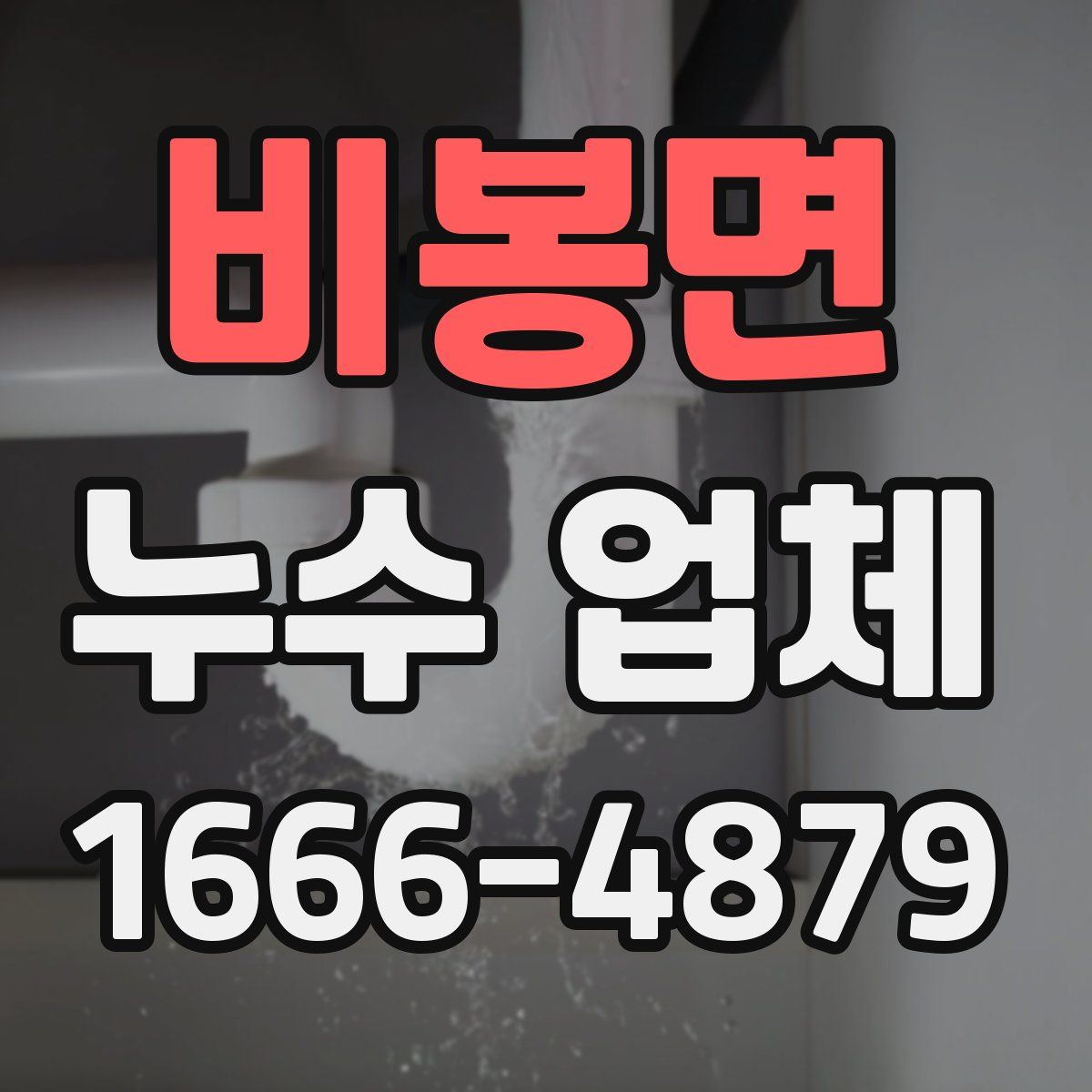 비봉면 누수 업체