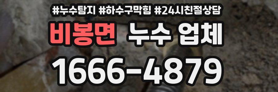 비봉면 누수 업체