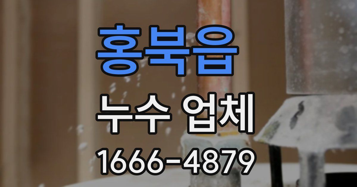 홍북읍 누수 업체