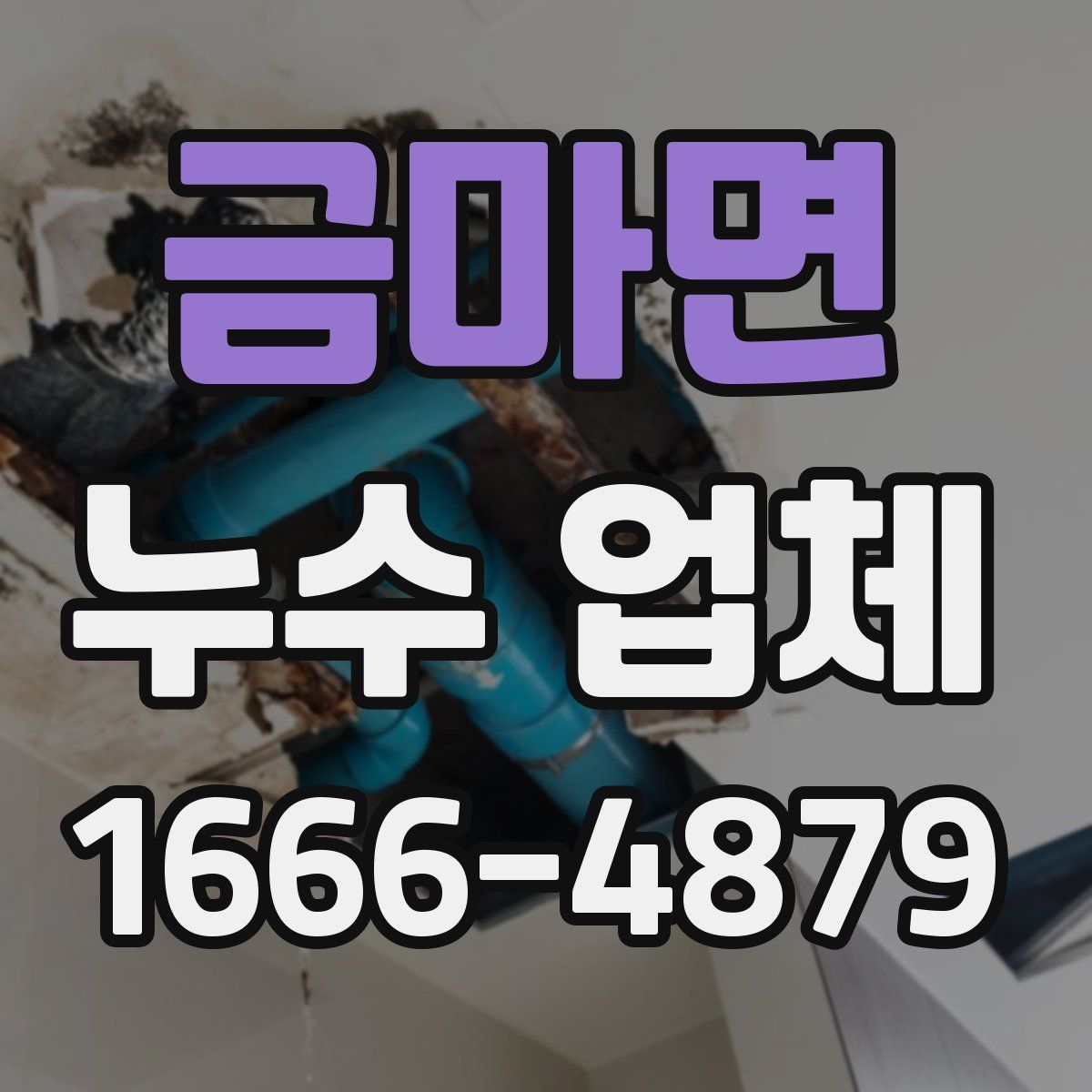금마면 누수 업체