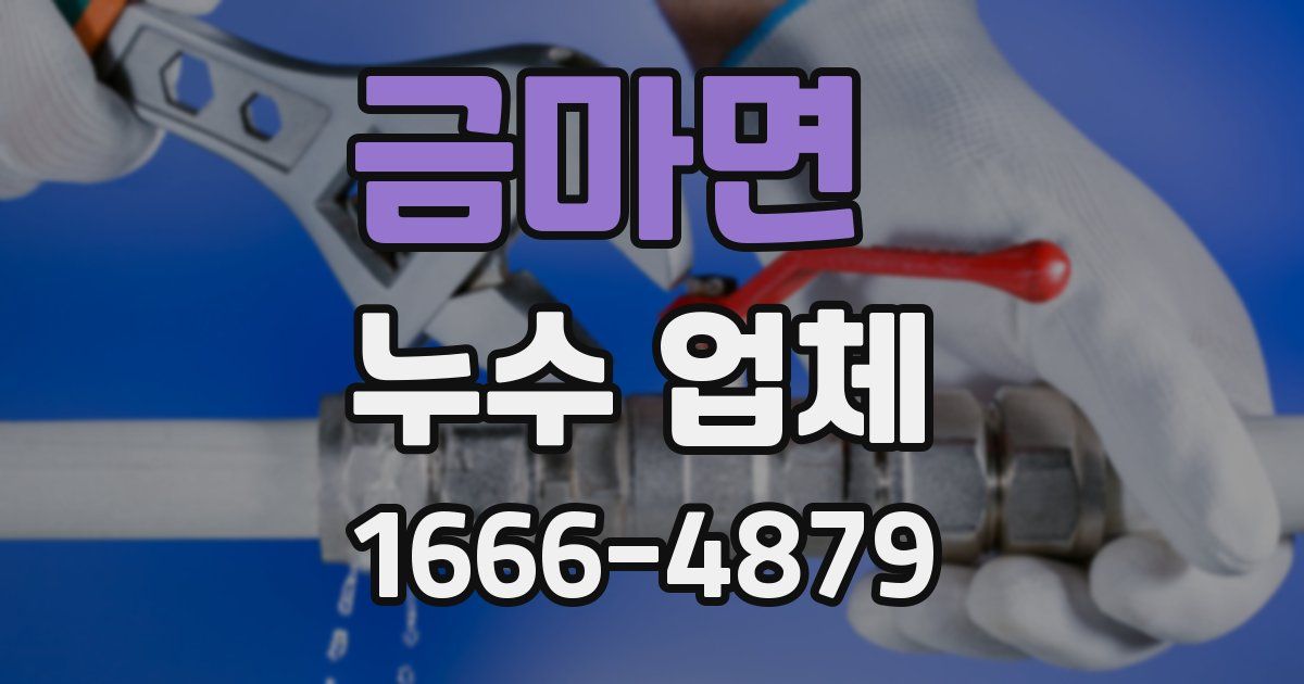 금마면 누수 업체