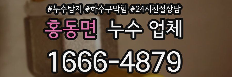 홍동면 누수 업체