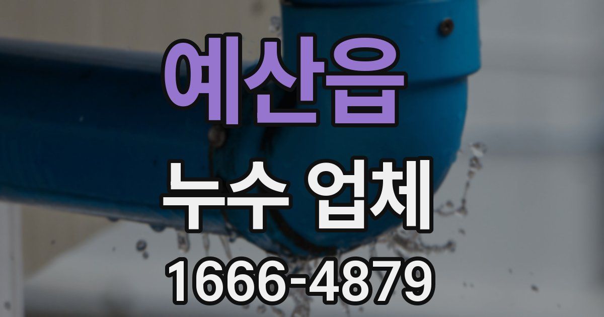 예산읍 누수 업체
