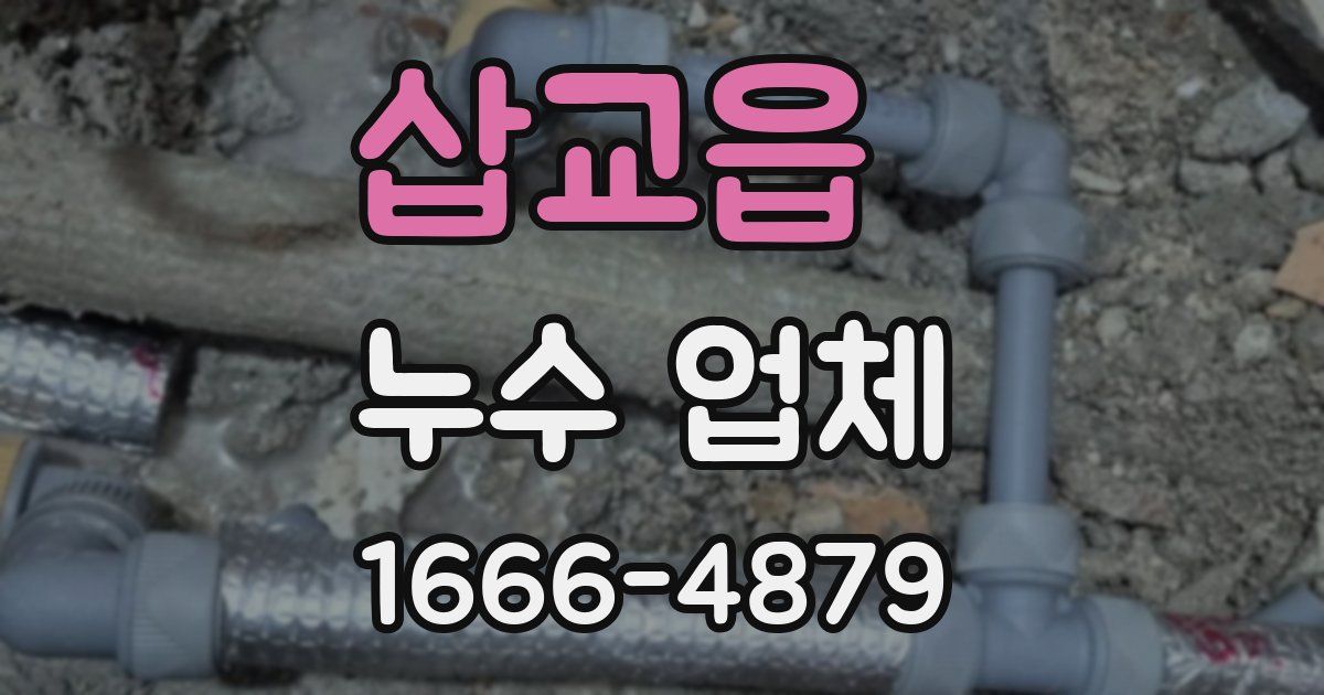 삽교읍 누수 업체