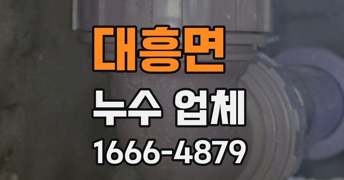대흥면 누수 업체