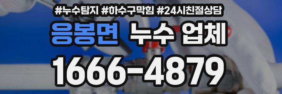 응봉면 누수 업체
