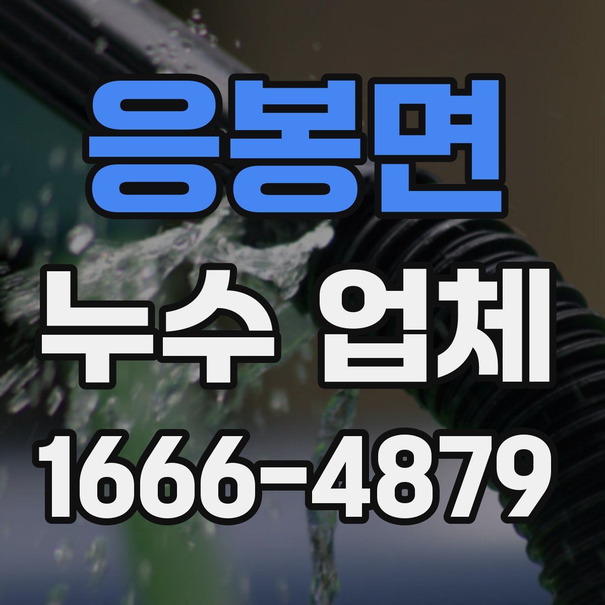 응봉면 누수 업체