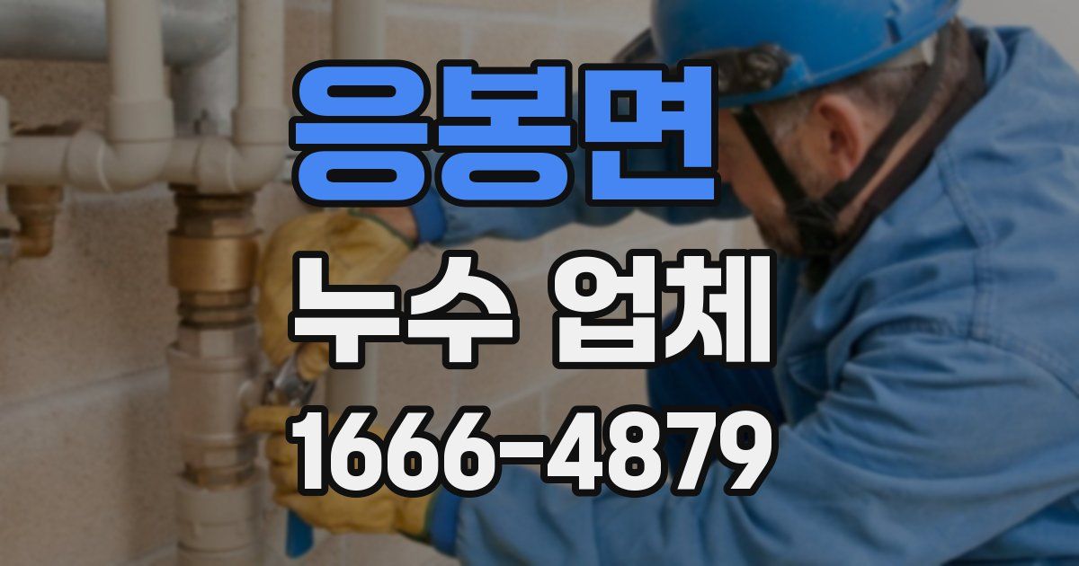 응봉면 누수 업체