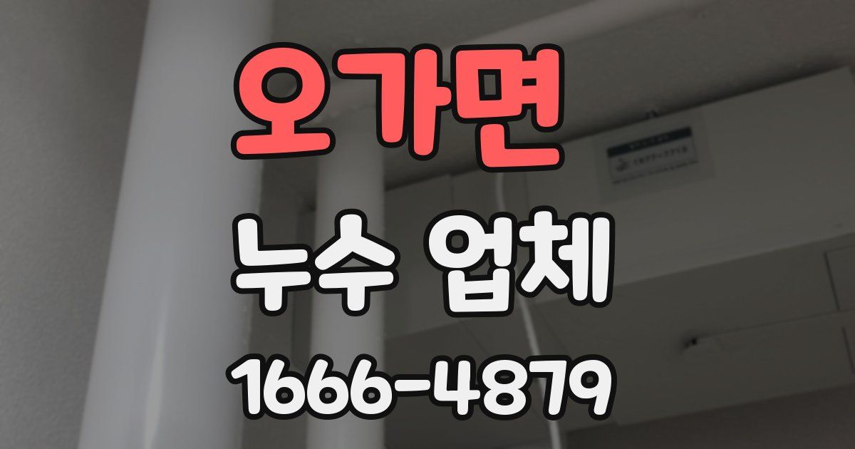 오가면 누수 업체