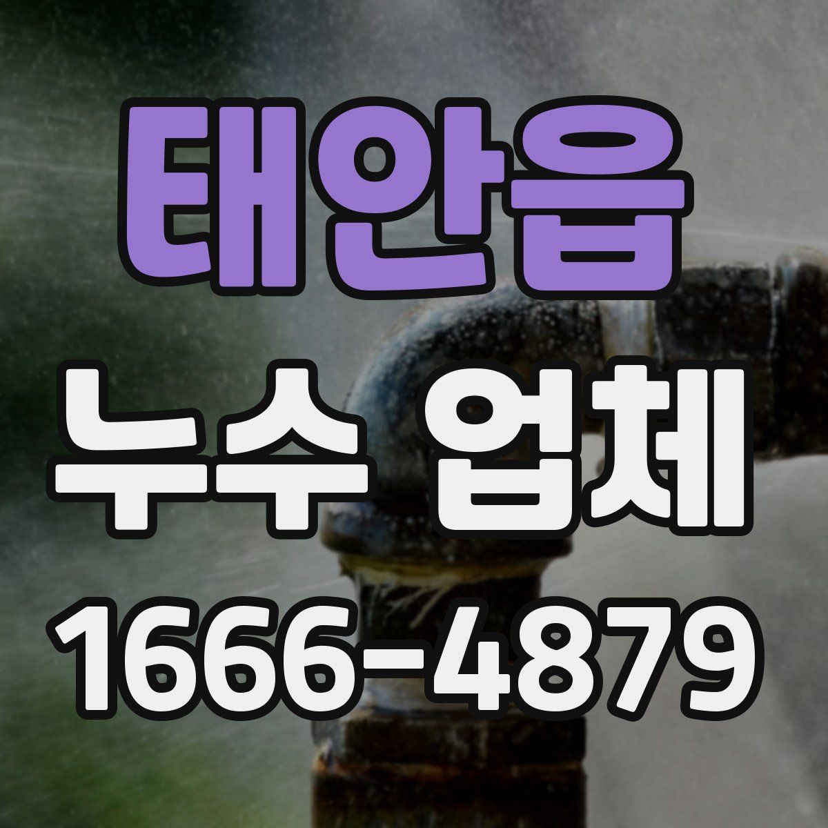 태안읍 누수 업체