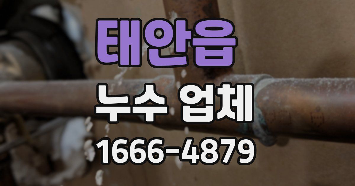 태안읍 누수 업체