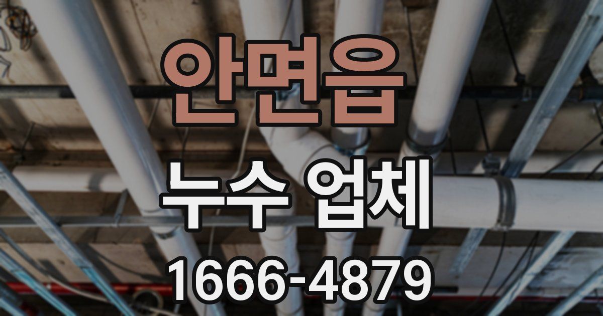 안면읍 누수 업체