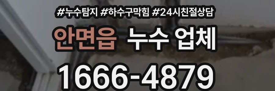 안면읍 누수 업체