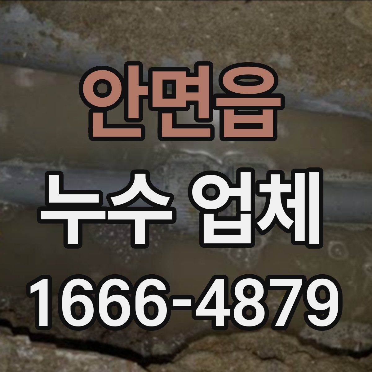 안면읍 누수 업체