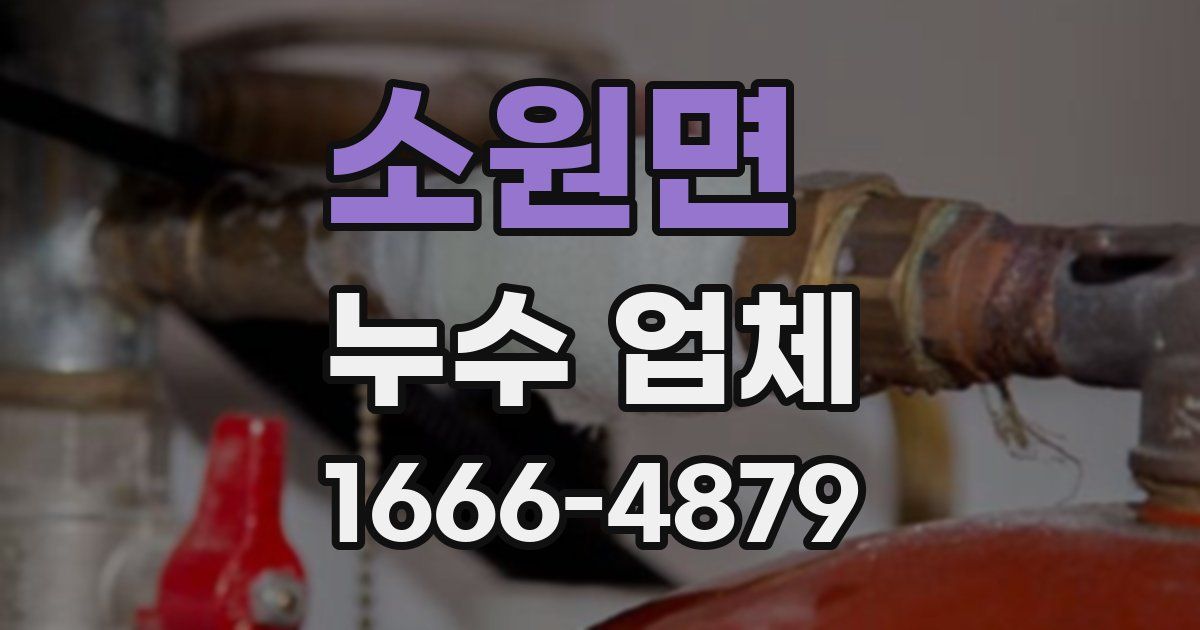 소원면 누수 업체