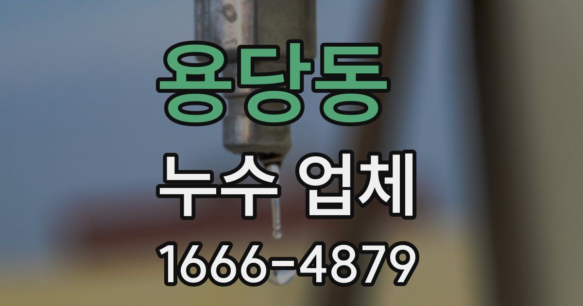 용당동 누수 업체