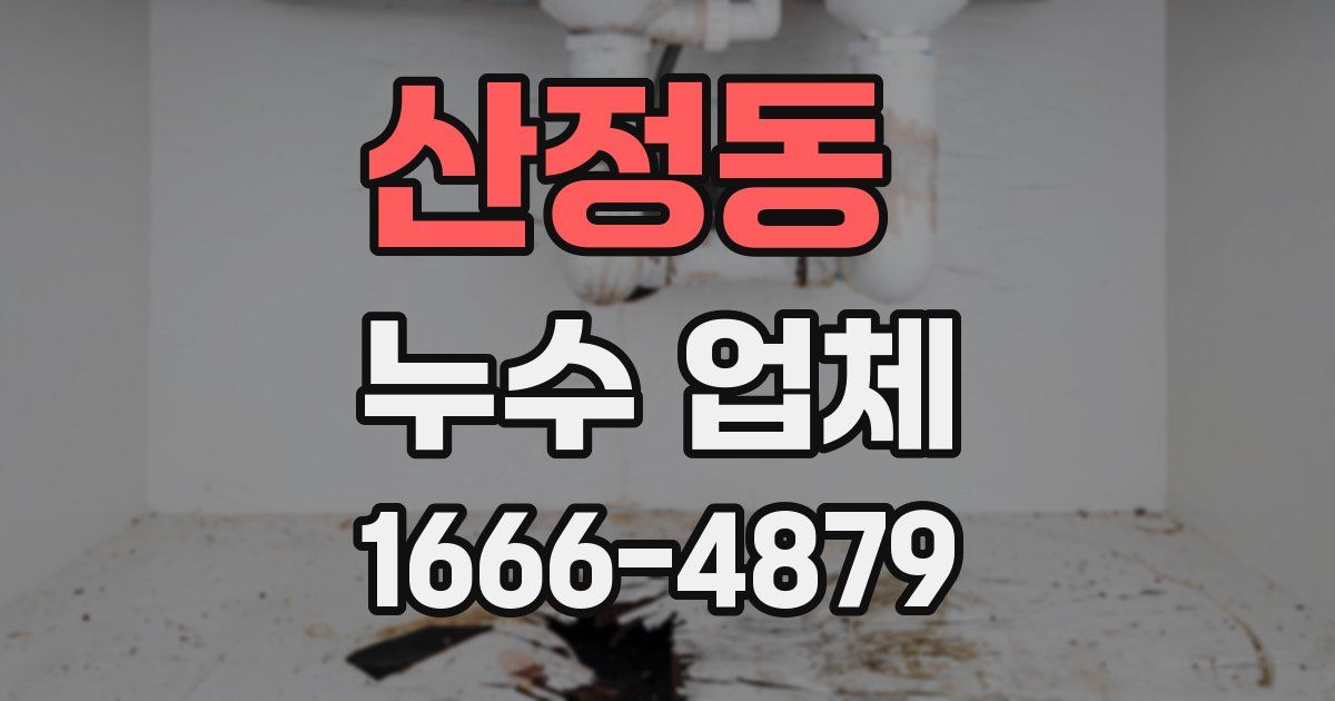 산정동 누수 업체