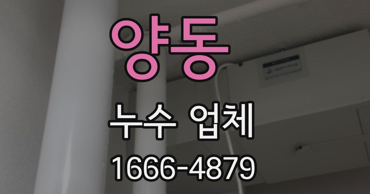 양동 누수 업체