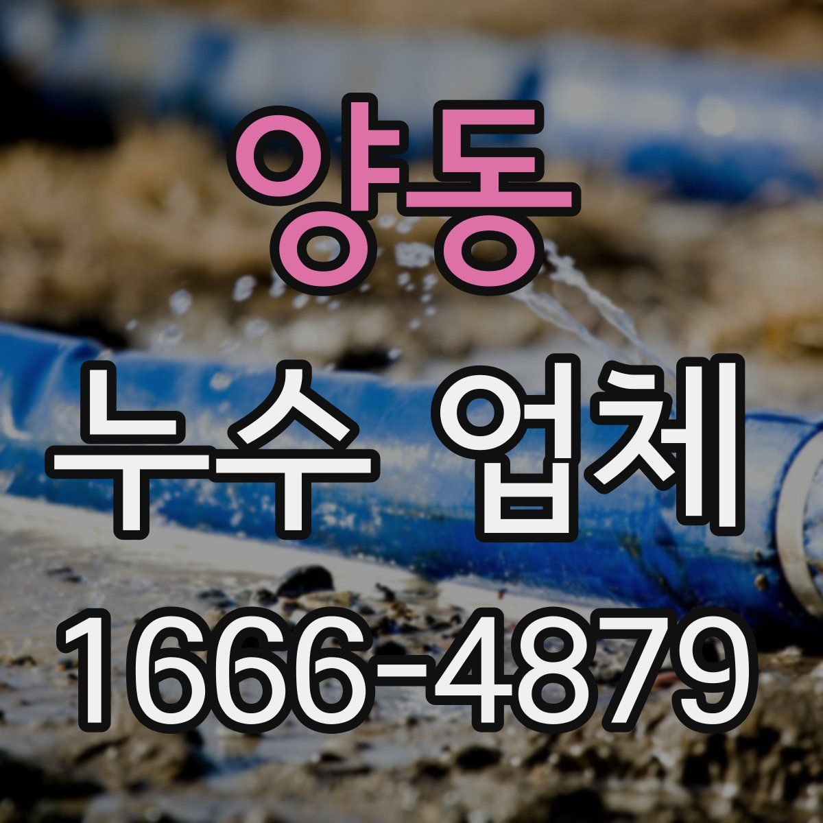 양동 누수 업체
