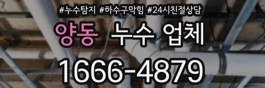 양동 누수 업체