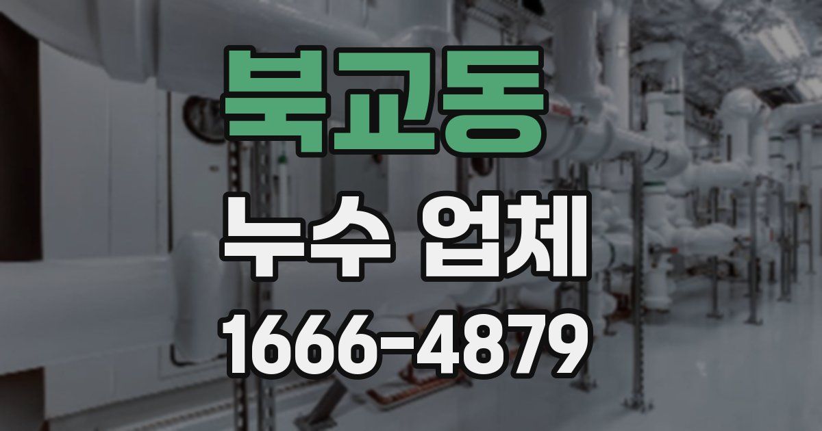 북교동 누수 업체