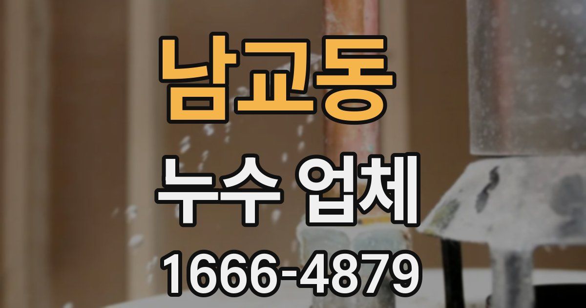 남교동 누수 업체