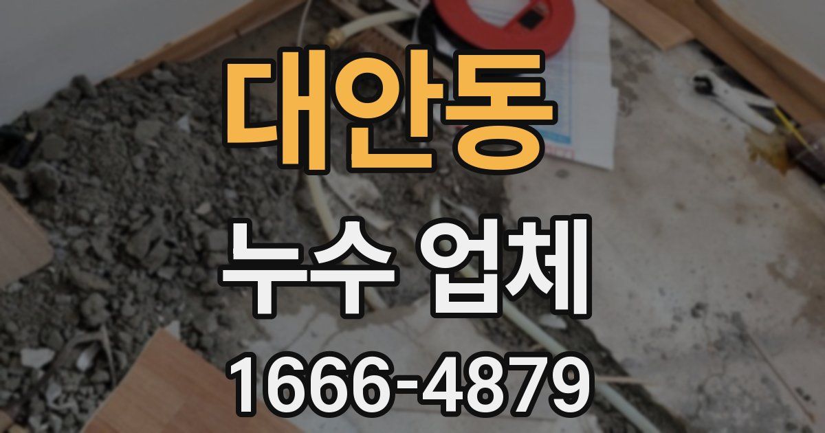 대안동 누수 업체