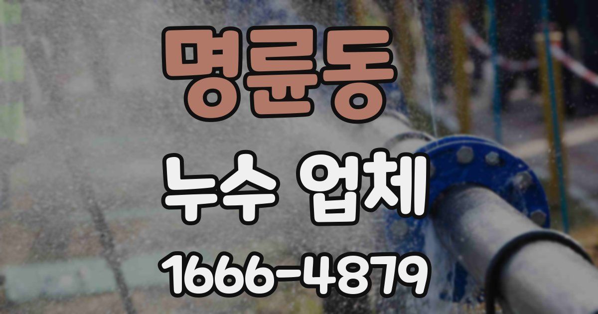 명륜동 누수 업체