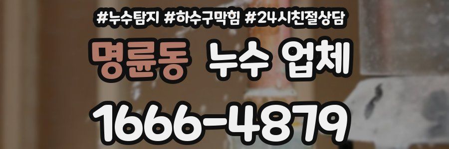 명륜동 누수 업체