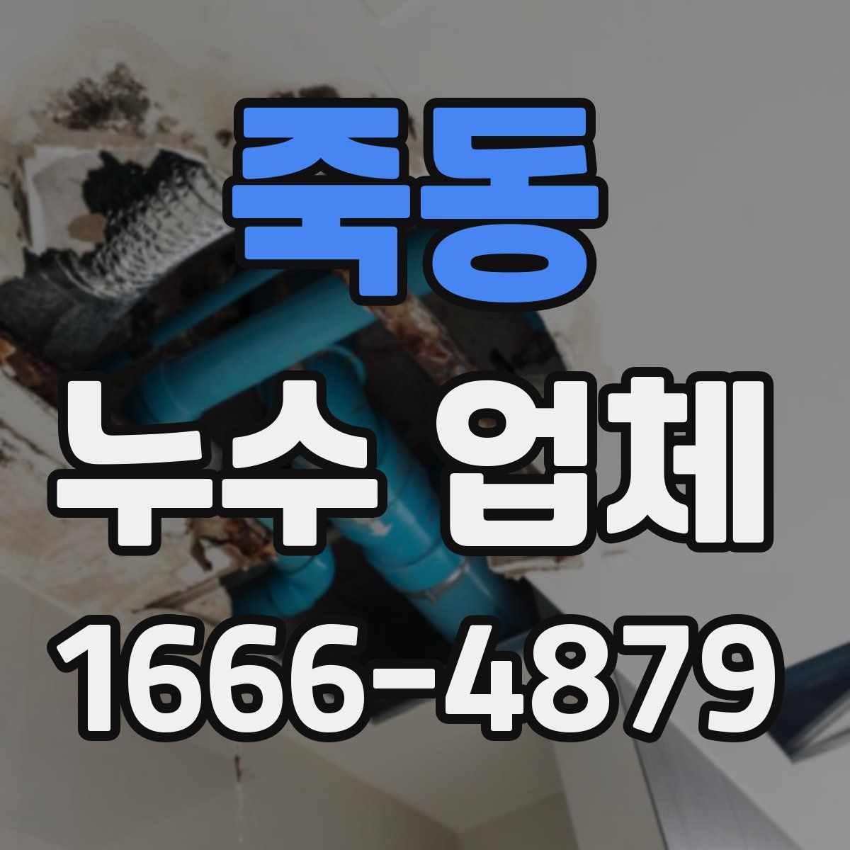 죽동 누수 업체