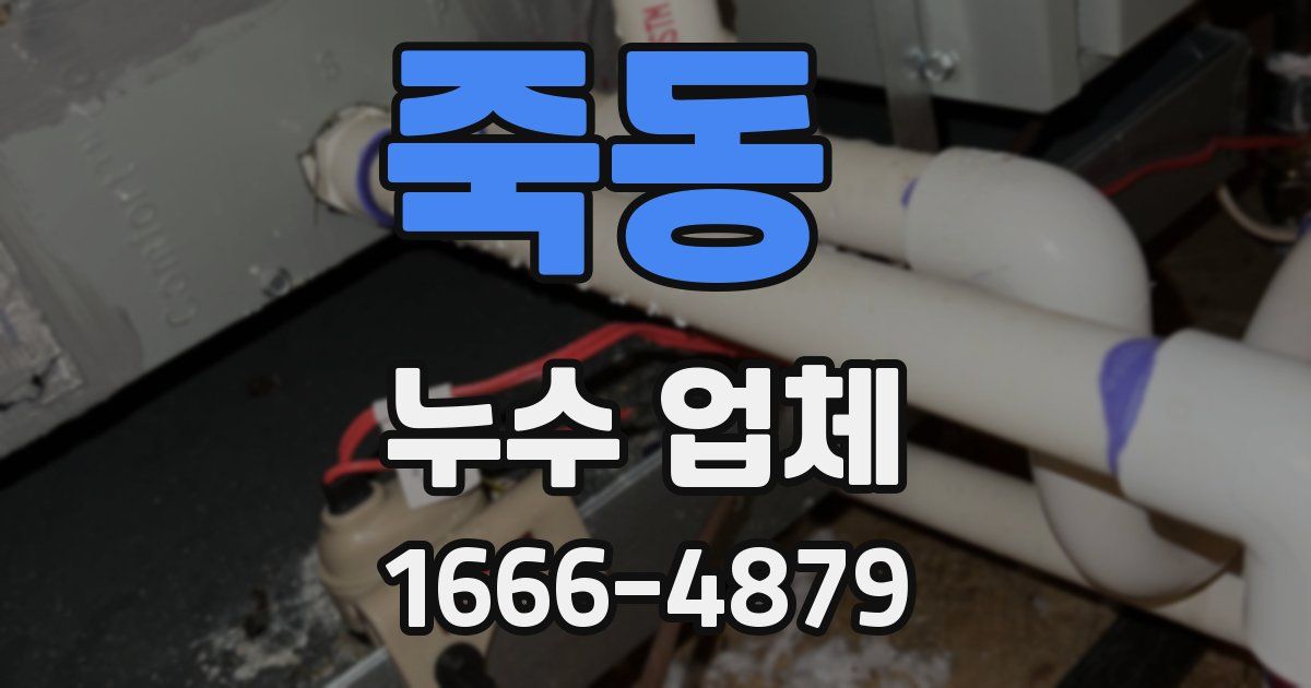 죽동 누수 업체
