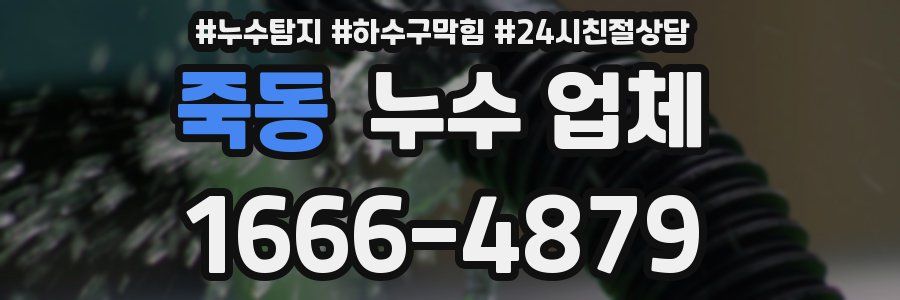 죽동 누수 업체