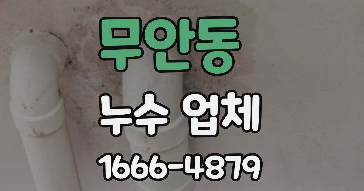 무안동 누수 업체