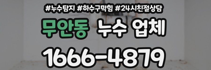 무안동 누수 업체