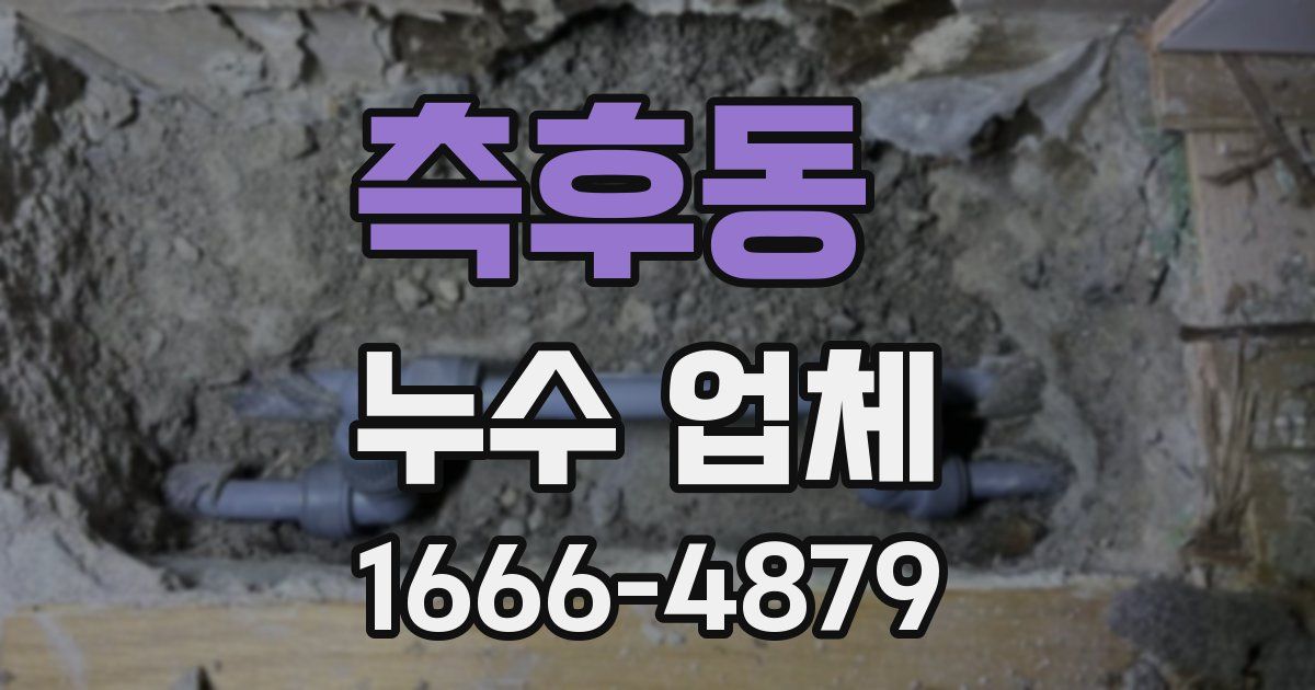 측후동 누수 업체