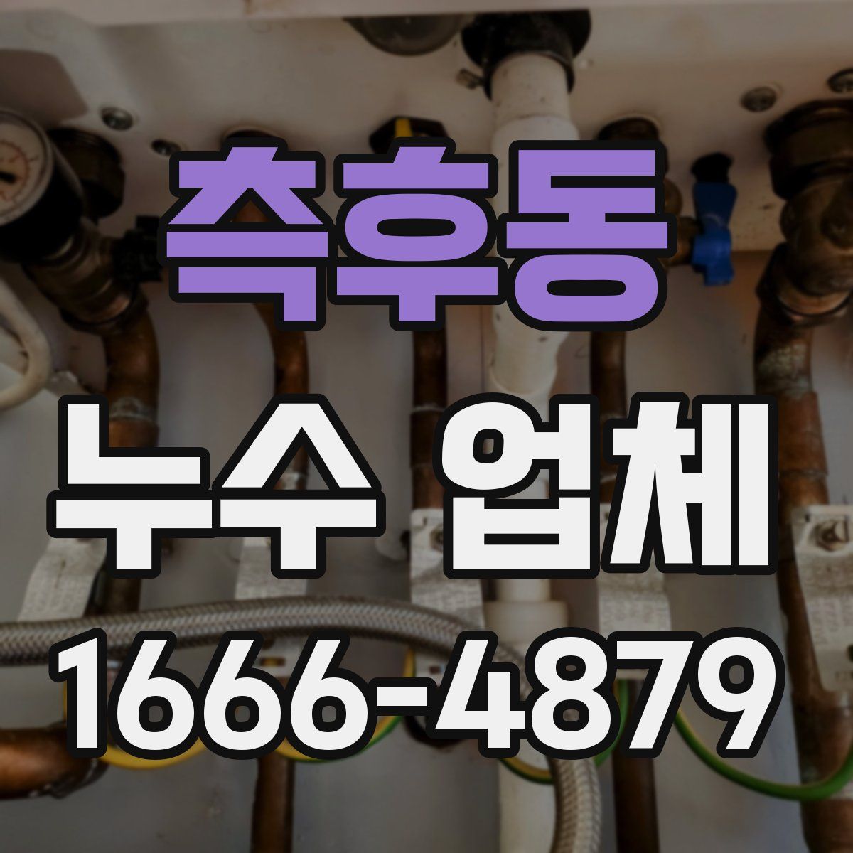 측후동 누수 업체