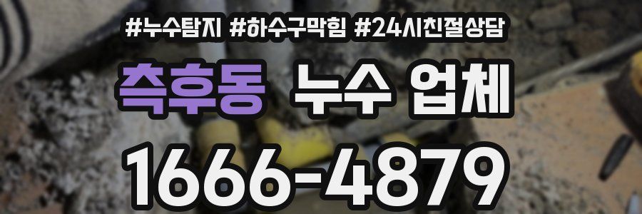측후동 누수 업체