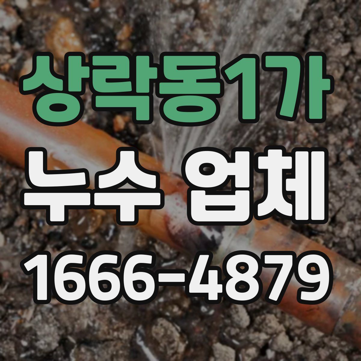 상락동1가 누수 업체