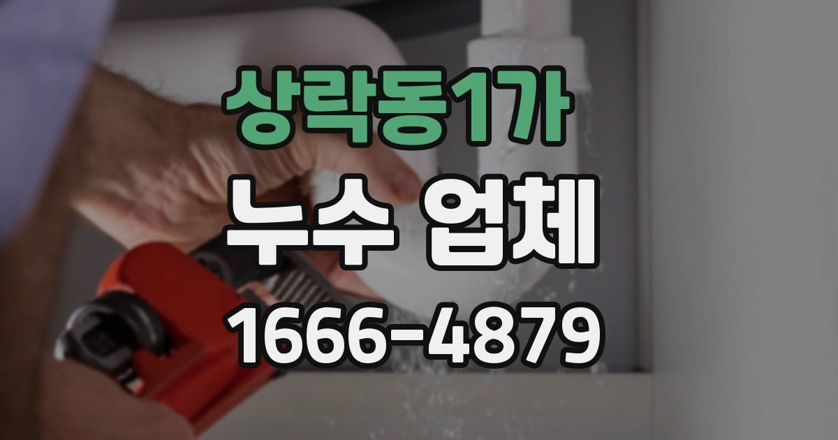 상락동1가 누수 업체