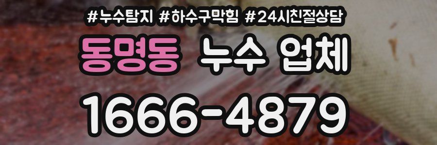 동명동 누수 업체