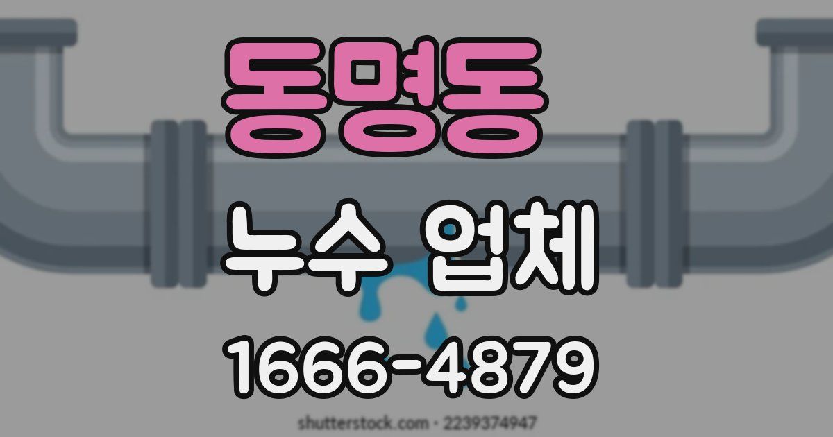 동명동 누수 업체